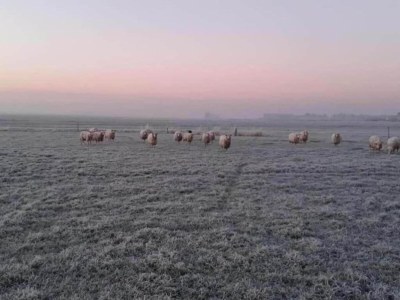 Holiday house Ferienhaus mit privater Terrasse - Environment photo 21