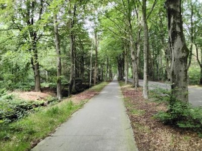 Holiday house Ferienhaus mit privater Terrasse - Environment photo 36