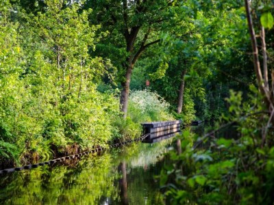 Holiday house Ferienhaus in Balk nahe Friesische Seen - Environment photo 27