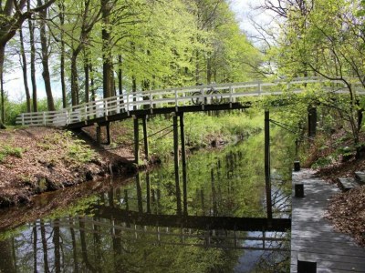 Holiday house Ferienhaus in Balk nahe Friesische Seen - Environment photo 34