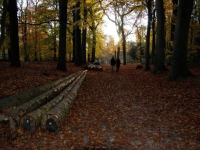 Holiday house Holiday Home in Oudemirdum by Frisian Lakes - Environment photo 22
