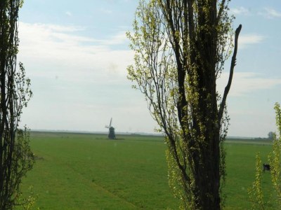 Holiday house Holiday Home in Oudemirdum by Frisian Lakes - Environment photo 26