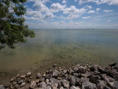 Holiday house Holiday Home in Oudemirdum by Frisian Lakes - Environment photo 27