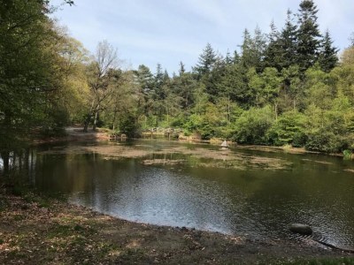Holiday house Holiday Home in Oudemirdum by Frisian Lakes - Environment photo 29