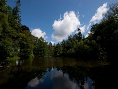 Holiday house Holiday Home in Oudemirdum by Frisian Lakes - Environment photo 32