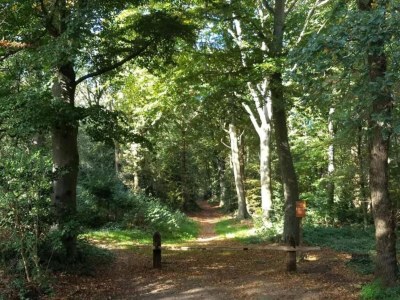Holiday house Holiday Home in Oudemirdum by Frisian Lakes - Environment photo 33