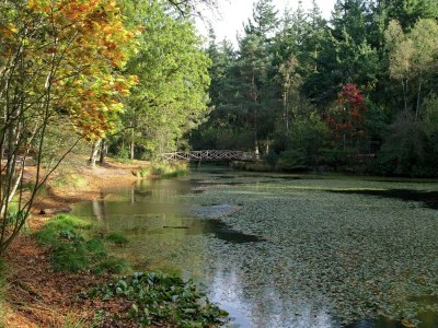 Holiday house Holiday Home in Oudemirdum by Frisian Lakes - Environment photo 35