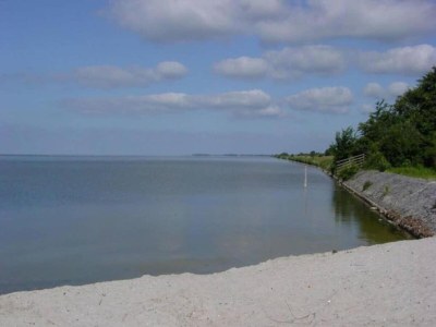Holiday house Holiday Home in Oudemirdum by Frisian Lakes - Environment photo 36