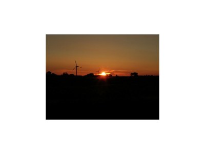 Holiday house Holiday Home in Workum on a farm - Environment photo 26