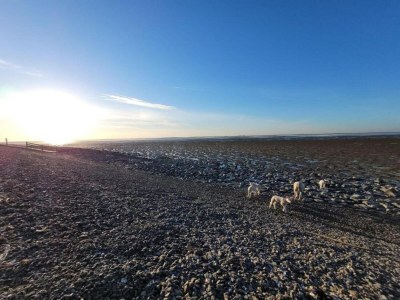 Holiday house Holiday Home in Workum on a farm - Environment photo 35