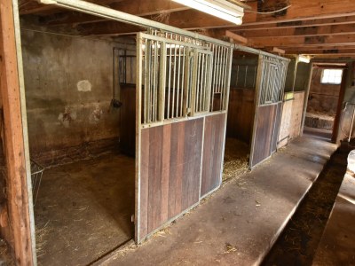 Holiday house Holiday Home in Workum on a farm - Outdoor photo 37