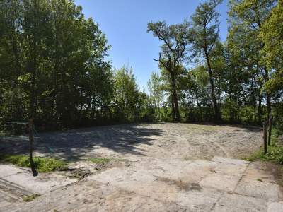 Holiday house Holiday Home in Workum on a farm - Outdoor photo 40