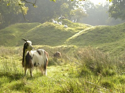 Holiday house Ferienhaus in Warns mit eigenem Steg - Environment photo 29