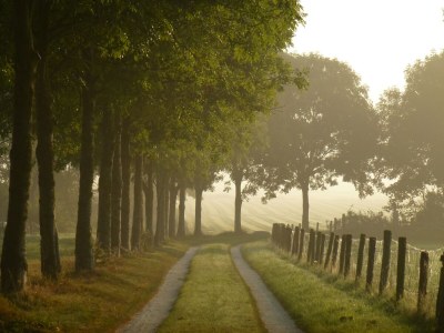 Holiday house Ferienhaus in Warns mit eigenem Steg - Environment photo 32