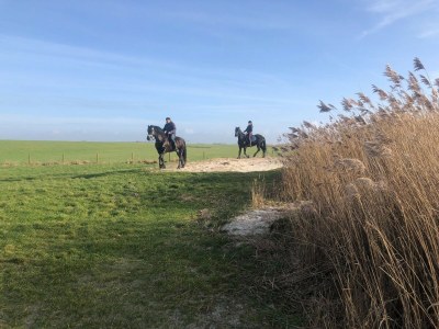 Holiday house Ferienhaus in Warns mit eigenem Steg - Environment photo 38