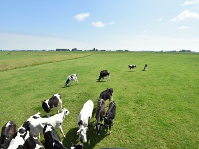 Farmhouse Farm located in a beautiful area of Friesland - Outdoor photo 11