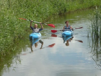 Farmhouse Farm located in a beautiful area of Friesland - Environment photo 33