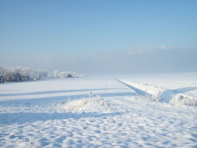 Farmhouse Bauernhaus in Holwerd am Meer - Environment photo 40