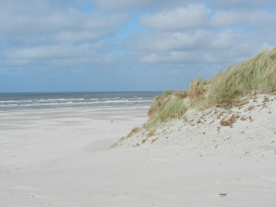 Holiday house Holiday Home Ameland near North Sea Beach - Environment photo 20