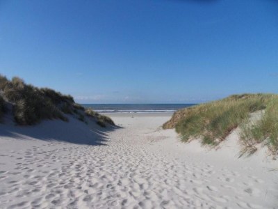 Holiday house Holiday Home Ameland near North Sea Beach - Environment photo 21
