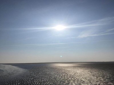 Holiday house Holiday Home Ameland near North Sea Beach - Environment photo 22