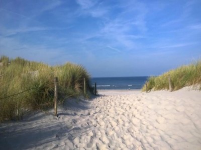 Holiday house Holiday Home Ameland near North Sea Beach - Environment photo 28