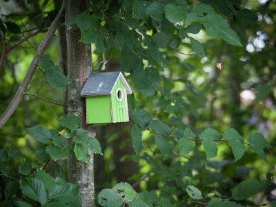Holiday house Holiday Home Ameland near North Sea Beach - Outdoor photo 36