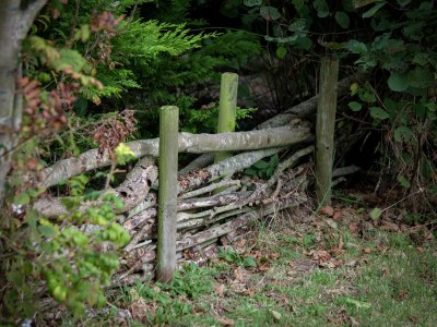 Holiday house Holiday Home Ameland near North Sea Beach - Outdoor photo 37
