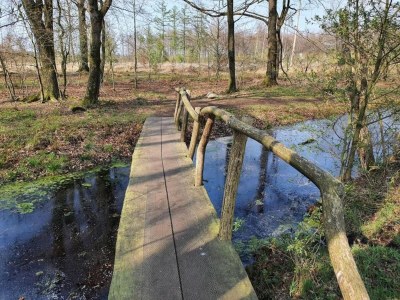 Holiday house Ferienhaus Mantinge am Naturschutzgebiet - Environment photo 26