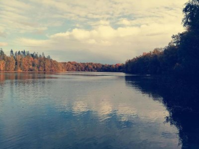 Holiday house Ferienhaus Mantinge am Naturschutzgebiet - Environment photo 30