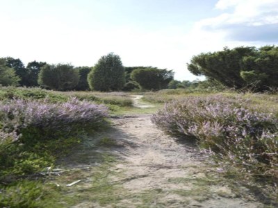 Holiday house Ferienhaus Mantinge am Naturschutzgebiet - Environment photo 33
