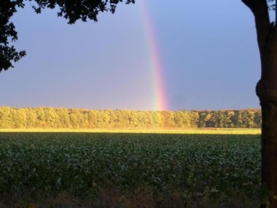 Holiday house Ferienhaus Mantinge am Naturschutzgebiet - Environment photo 35