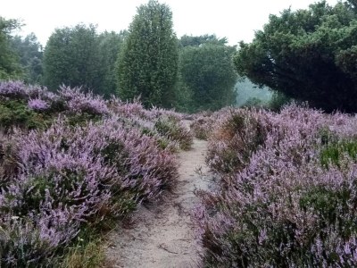 Holiday house Ferienhaus Mantinge am Naturschutzgebiet - Environment photo 36