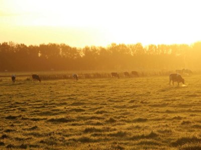 Holiday house Ferienhaus Mantinge am Naturschutzgebiet - Environment photo 38