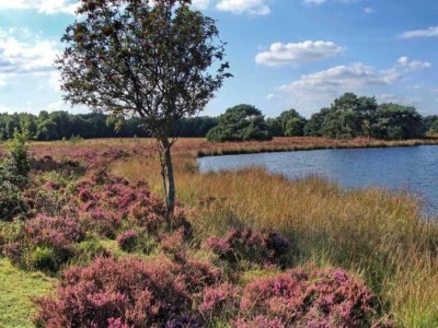 Holiday house Ferienhaus Mantinge am Naturschutzgebiet - Environment photo 40