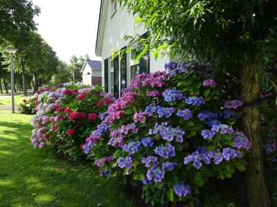 Holiday house Ferienhaus in Steendam am Schildsee - Outdoor photo 37