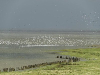 Holiday house Peaceful Holiday Home - Environment photo 15