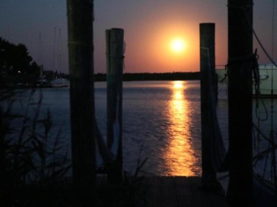 Holiday house Peaceful Holiday Home - Environment photo 16