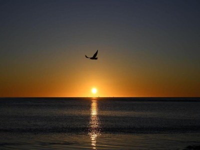 Holiday house Peaceful Holiday Home - Environment photo 28