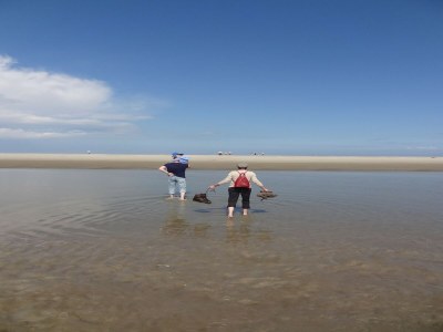 Holiday house Peaceful Holiday Home - Environment photo 30