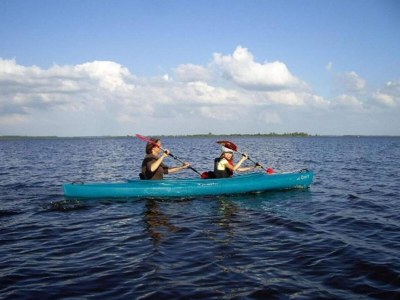 Holiday house Peaceful Holiday Home - Environment photo 35