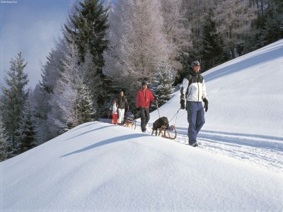 Apartment Wohnung in Going nahe Skilift - Environment photo 27