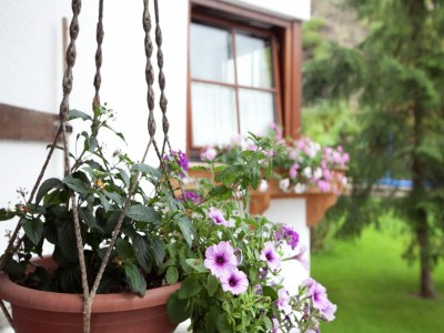 Apartment Wohnung in Going nahe Skilift - Outdoor photo 34