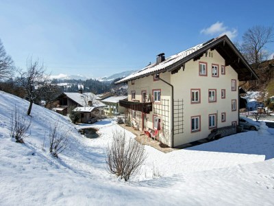 Apartment Chalet in Hopfgarten am Skilift - Outdoor photo 4