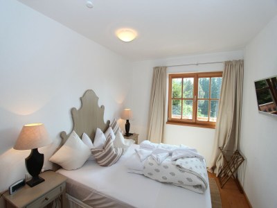 Apartment Chalet in Mittersill near Jochberg Ski Lift - Features photo 20