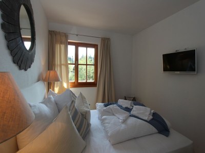 Apartment Chalet in Mittersill near Jochberg Ski Lift - Features photo 25