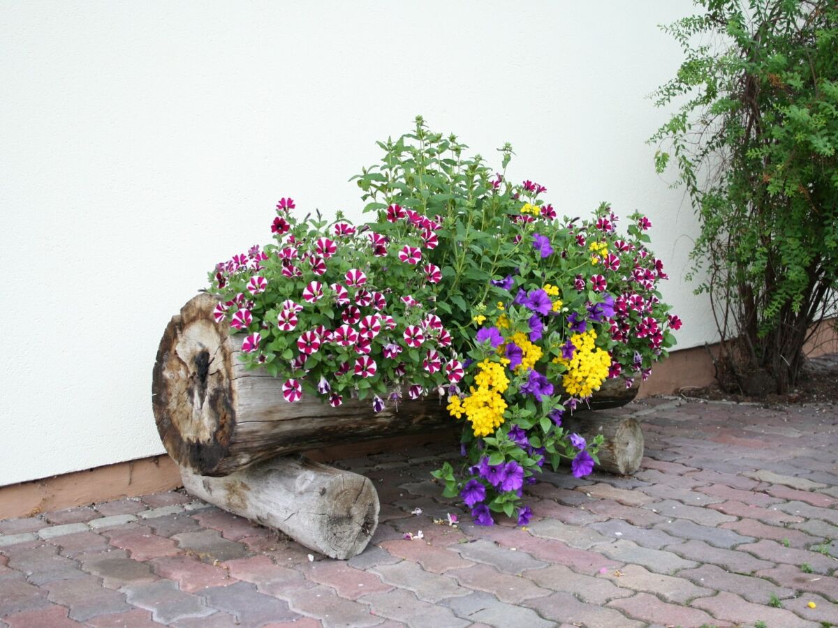 Apartment Wohnung in Waidring nahe PillerseeTal Skigebiet - Outdoor photo 5