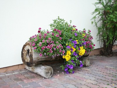 Apartment Wohnung in Waidring nahe PillerseeTal Skigebiet - Outdoor photo 5