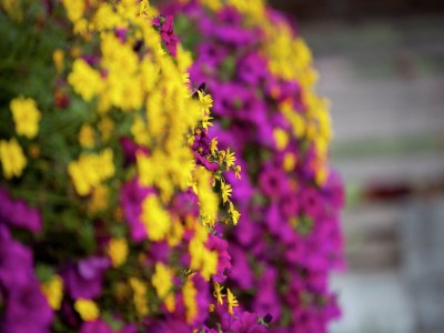 Apartment Apartment in Waidring near Ski Slopes - Outdoor photo 8