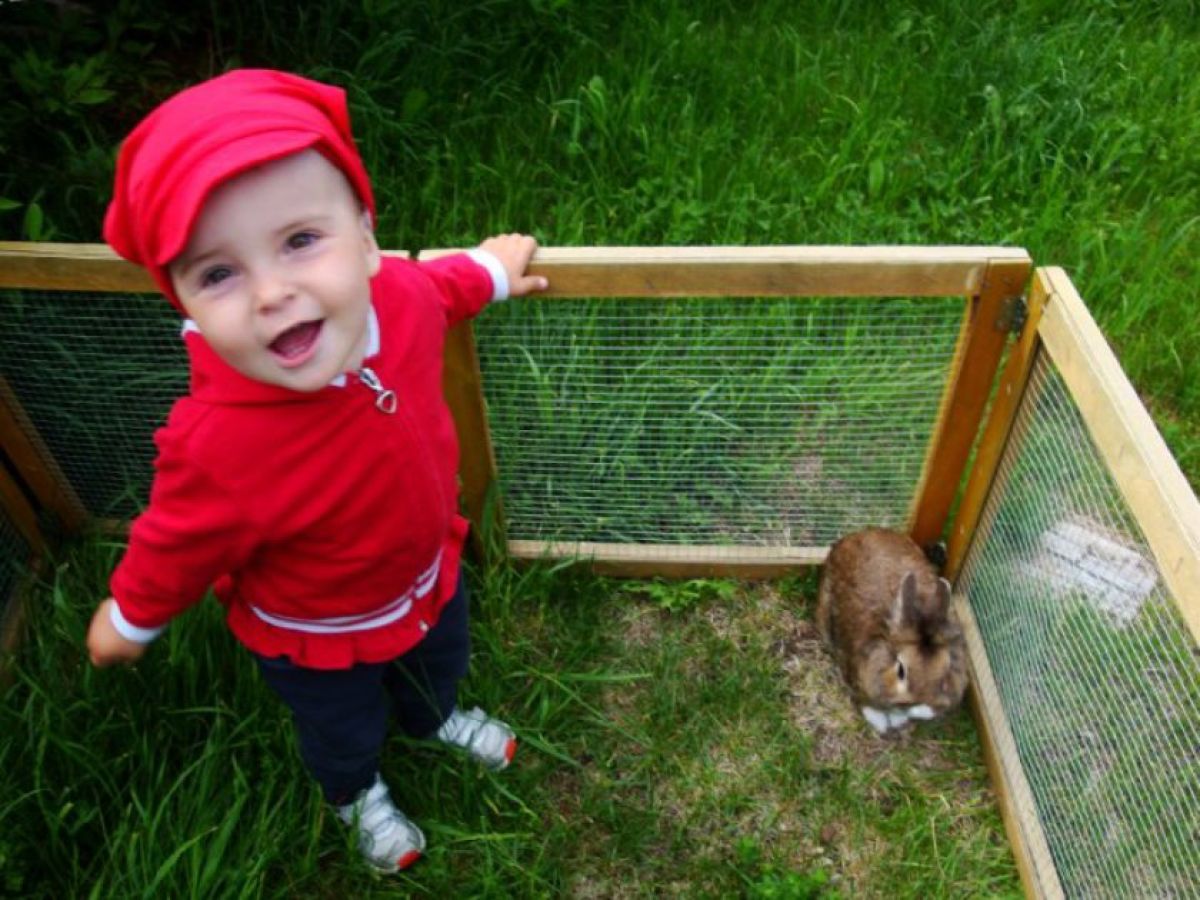 Farmhouse Platzerhof - Outdoor photo 5